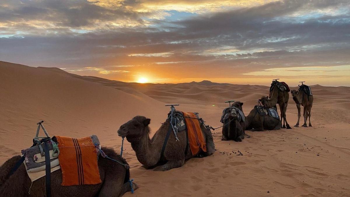 Chegaga Desert Trips Hotel M'Hamid Exterior photo